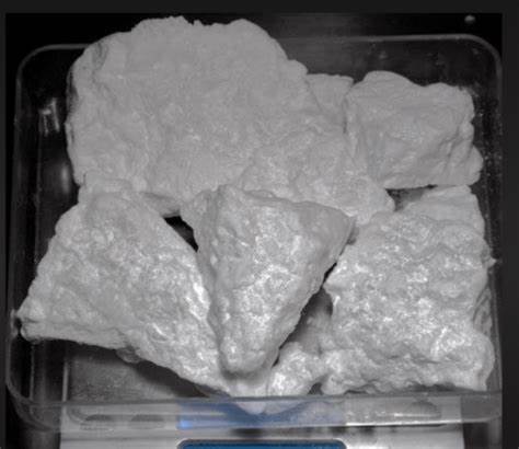 OIP (2) Buy Fish Scale Coke